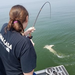 Meet your Posher, Angelena